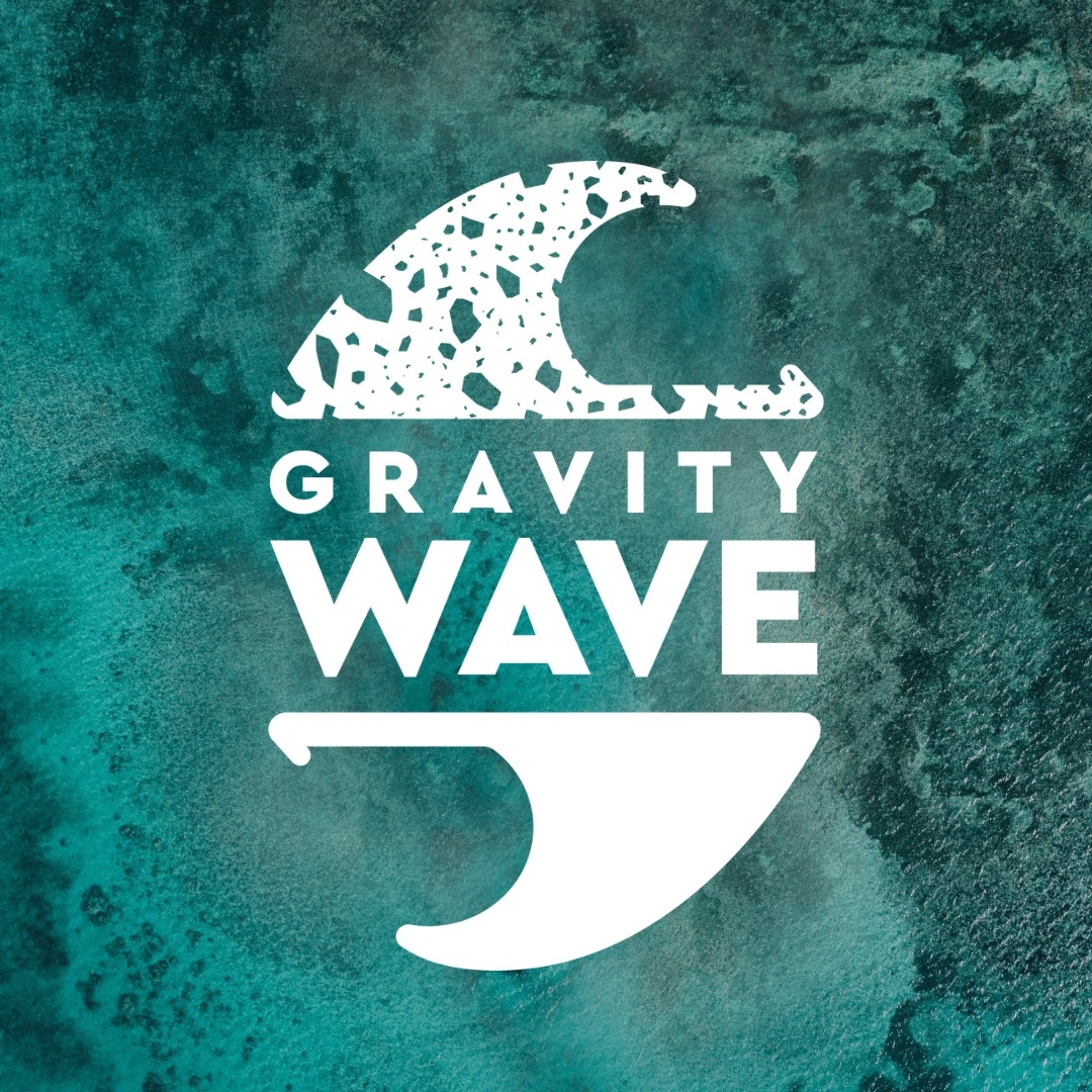 THE GRAVITY WAVE
